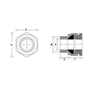 Cable Glands