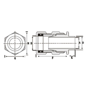 Cable Glands